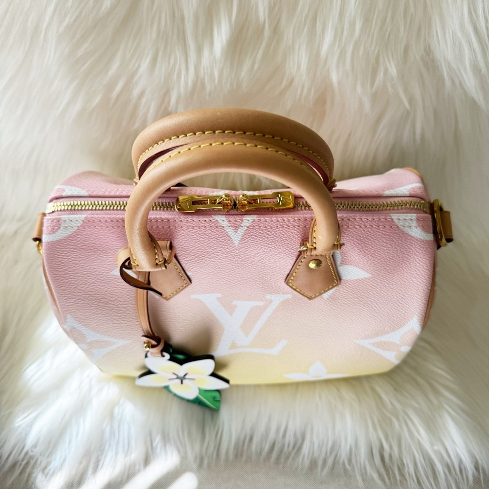 NIB Louis Vuitton Speedy 25 By The Pool Bandouliere Crossbody Special Edition - Picture 10 of 16